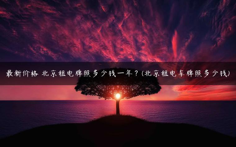 最新价格 北京租电牌照多少钱一年？(北京租电车牌照多少钱)