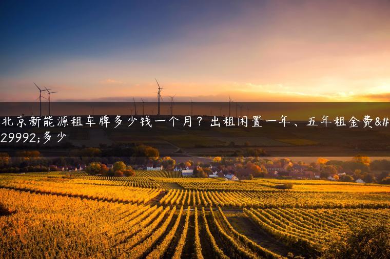 北京新能源租车牌多少钱一个月？出租闲置一年、五年租金费用多少