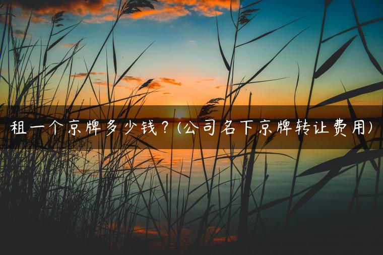 租一个京牌多少钱？(公司名下京牌转让费用)