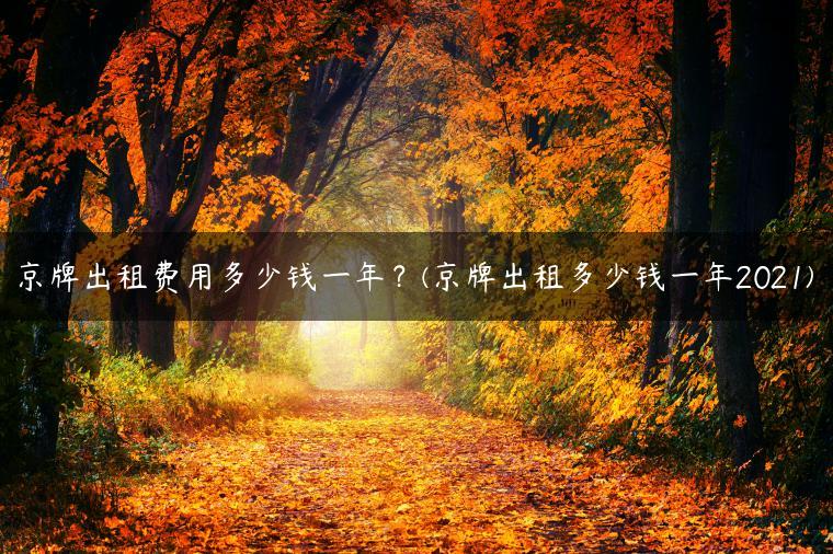 京牌出租费用多少钱一年？(京牌出租多少钱一年2021)