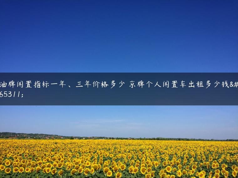 油牌闲置指标一年、三年价格多少 京牌个人闲置车出租多少钱？