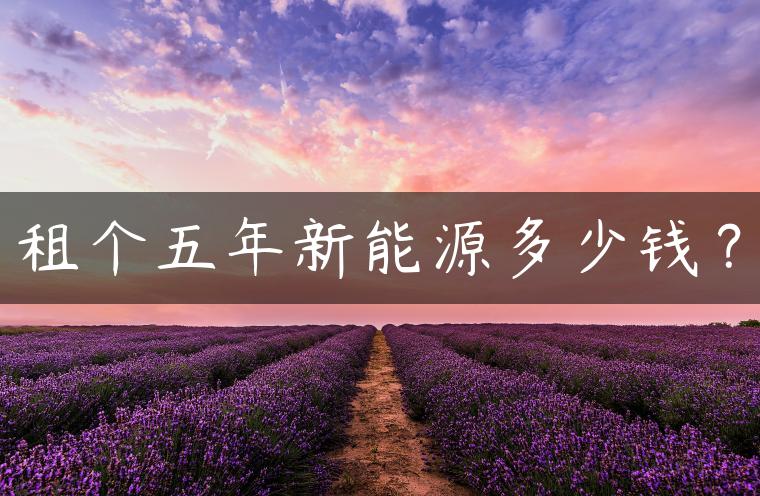 租个五年新能源多少钱？