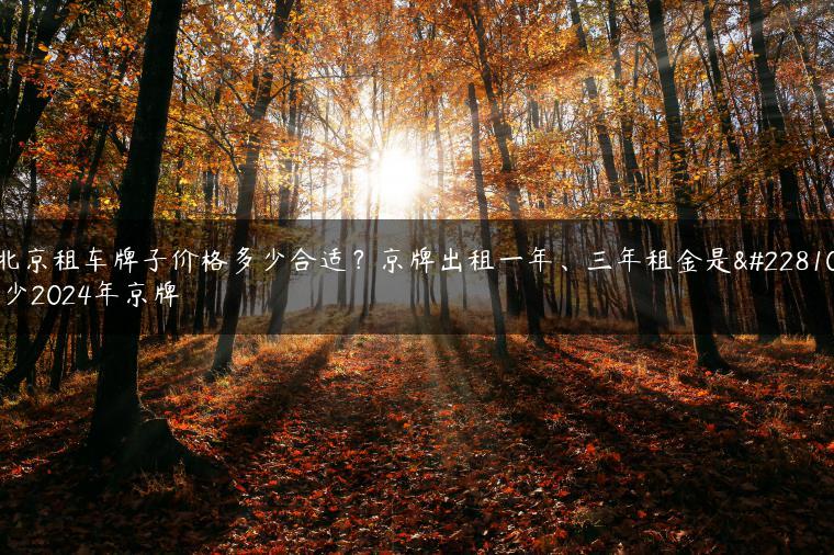 北京租车牌子价格多少合适？京牌出租一年、三年租金是多少2024年京牌