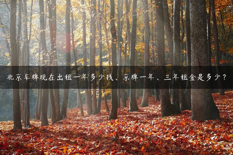北京车牌现在出租一年多少钱、京牌一年、三年租金是多少？