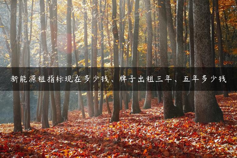 新能源租指标现在多少钱、牌子出租三年、五年多少钱