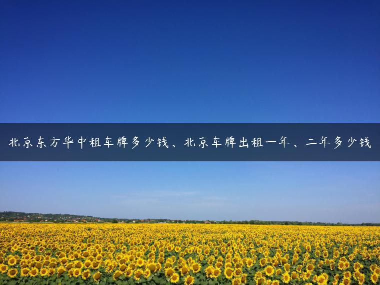 北京东方华中租车牌多少钱、北京车牌出租一年、二年多少钱