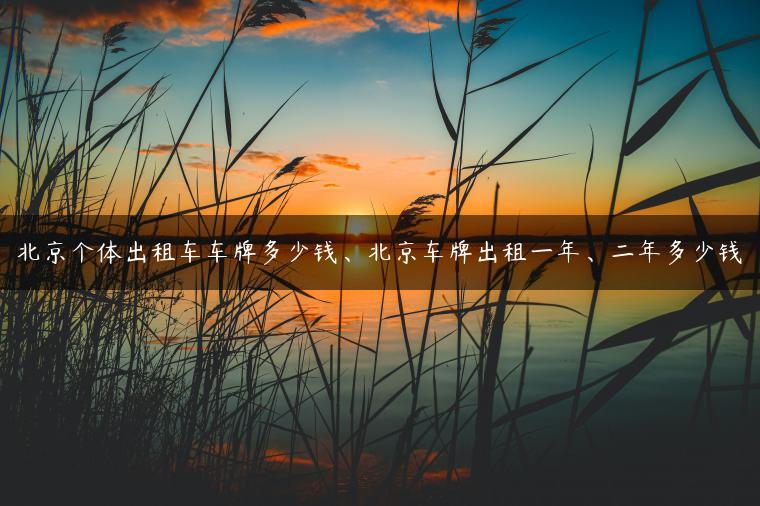 北京个体出租车车牌多少钱、北京车牌出租一年、二年多少钱