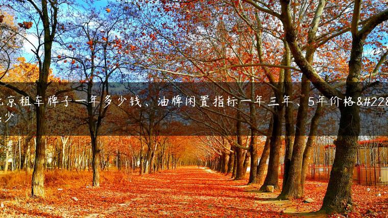 北京租车牌子一年多少钱、油牌闲置指标一年三年、5年价格多少