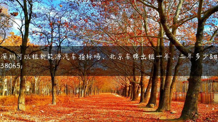 深圳可以租新能源汽车指标吗、北京车牌出租一年、二年多少钱