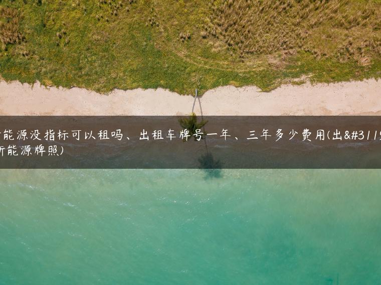 新能源没指标可以租吗、出租车牌号一年、三年多少费用(出租新能源牌照)