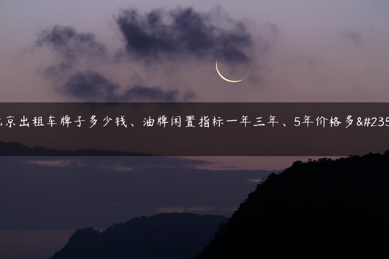 北京出租车牌子多少钱、油牌闲置指标一年三年、5年价格多少