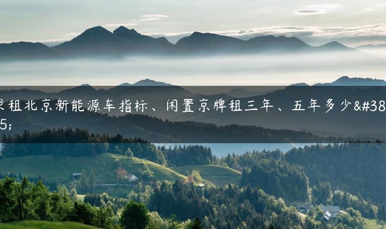 求租北京新能源车指标、闲置京牌租三年、五年多少钱-金牌车友