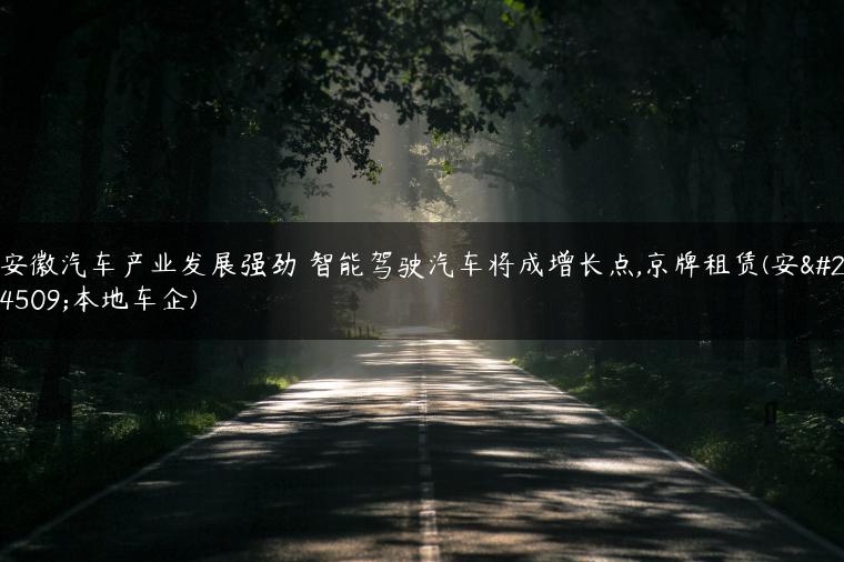 安徽汽车产业发展强劲 智能驾驶汽车将成增长点,京牌租赁(安徽本地车企)