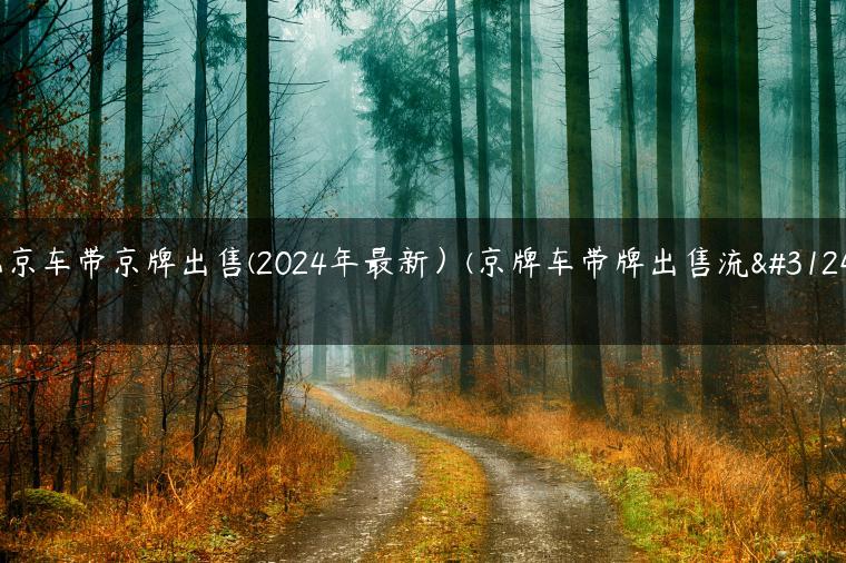 北京车带京牌出售(2024年最新）(京牌车带牌出售流程)