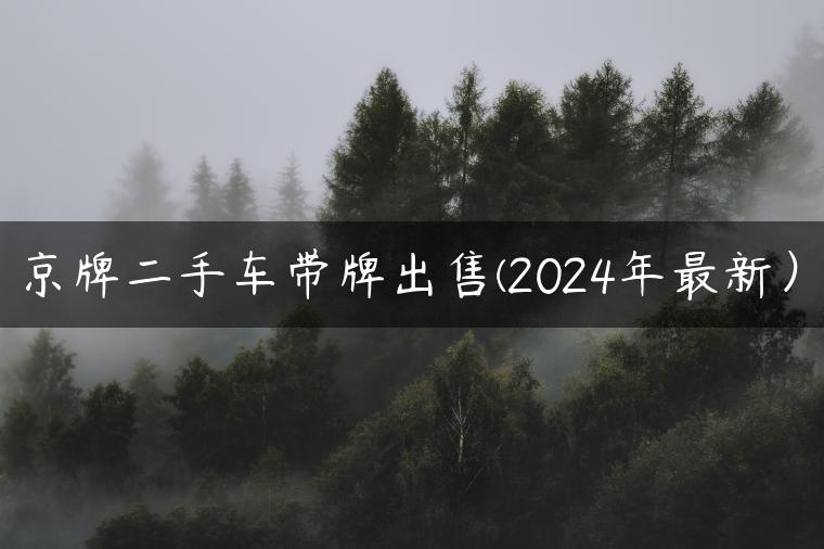 京牌二手车带牌出售(2024年最新）