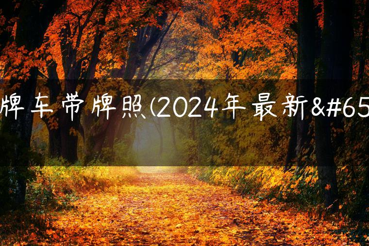 京牌车带牌照(2024年最新）