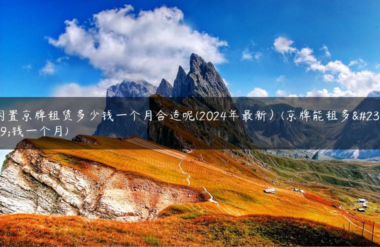 闲置京牌租赁多少钱一个月合适呢(2024年最新）(京牌能租多少钱一个月)