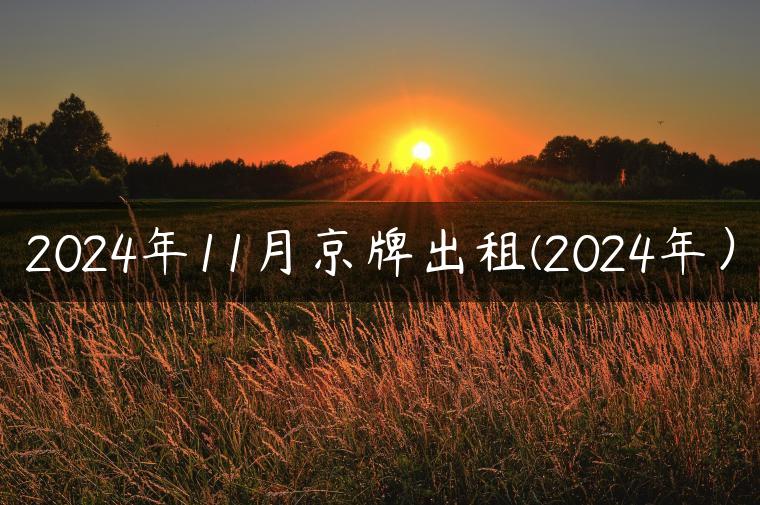 2024年11月京牌出租(2024年）