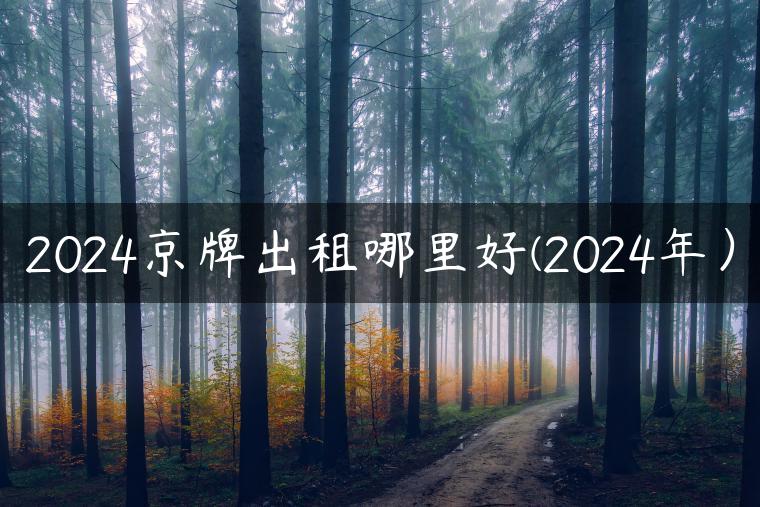 2024京牌出租哪里好(2024年）