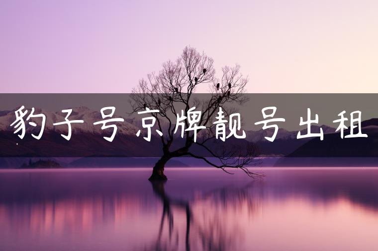 豹子号京牌靓号出租