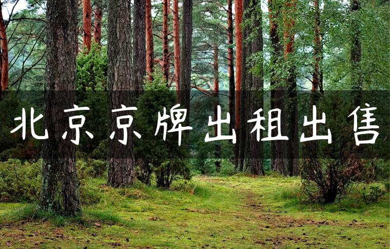 北京京牌出租出售