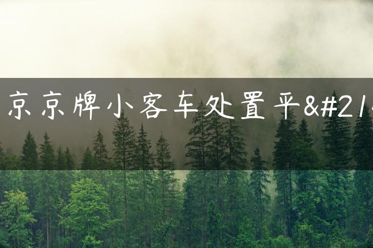 北京京牌小客车处置平台