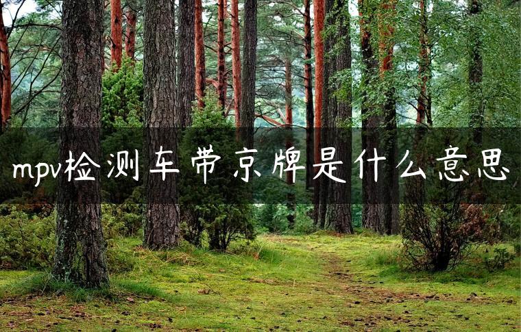 mpv检测车带京牌是什么意思