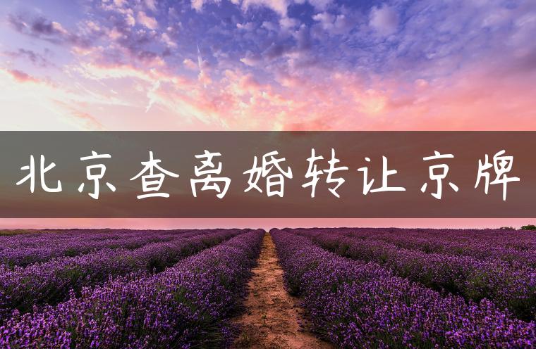 北京查离婚转让京牌