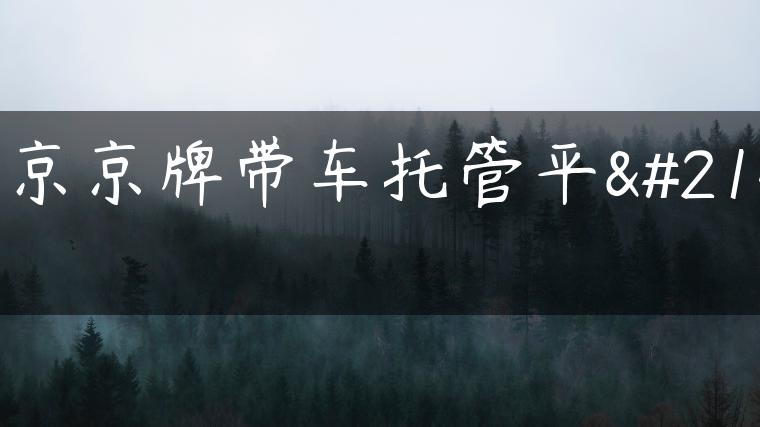 北京京牌带车托管平台