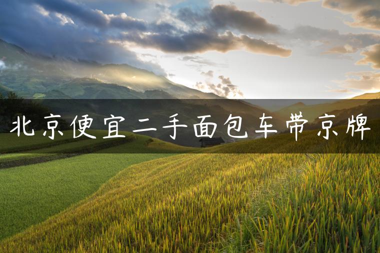 北京便宜二手面包车带京牌