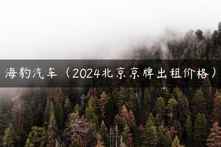 海豹汽车（2024北京京牌出租价格）