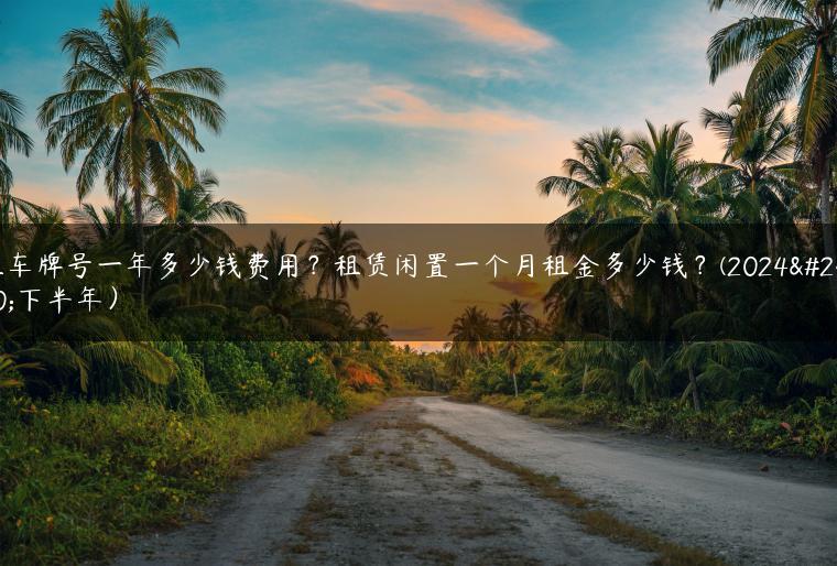租车牌号一年多少钱费用？租赁闲置一个月租金多少钱？(2024年下半年）