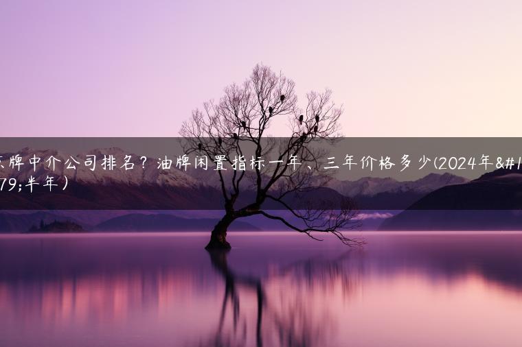京牌中介公司排名？油牌闲置指标一年、三年价格多少(2024年下半年）