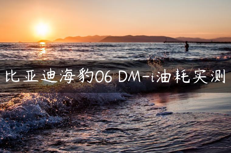比亚迪海豹06 DM-i油耗实测