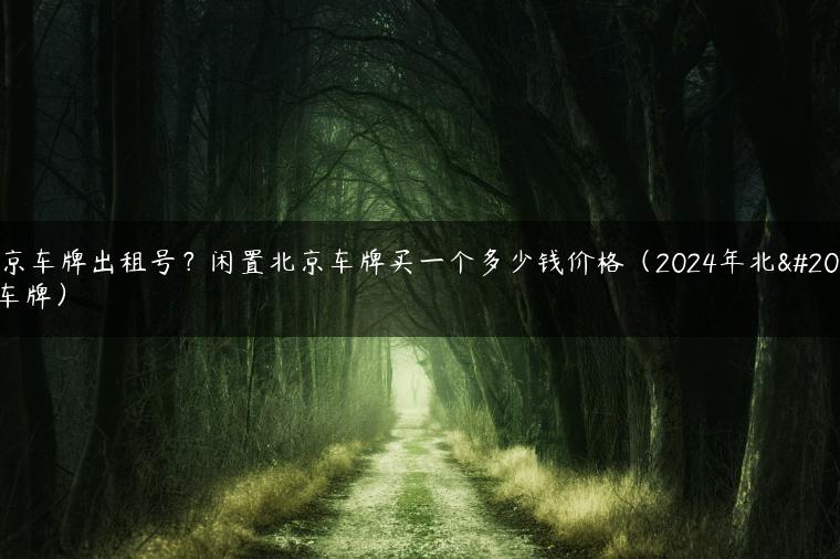 北京车牌出租号？闲置北京车牌买一个多少钱价格（2024年北京车牌）