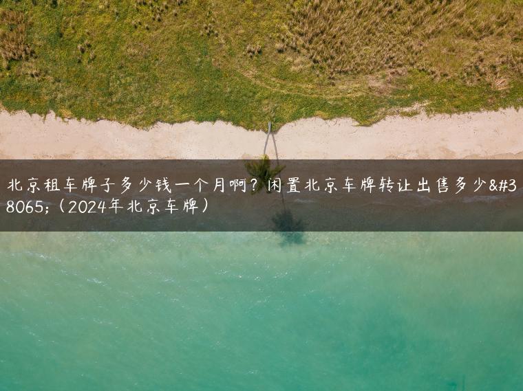 北京租车牌子多少钱一个月啊？闲置北京车牌转让出售多少钱（2024年北京车牌）