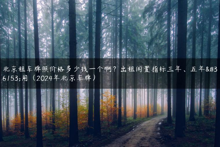 北京租车牌照价格多少钱一个啊？出租闲置指标三年、五年费用（2024年北京车牌）