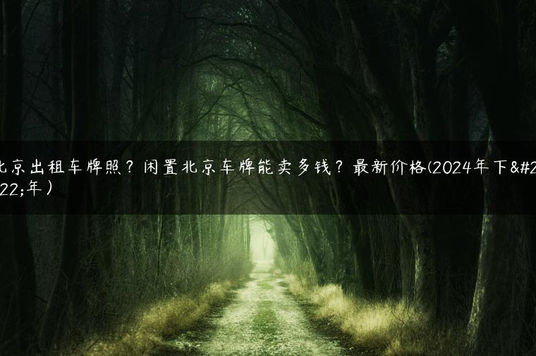 北京出租车牌照？闲置北京车牌能卖多钱？最新价格(2024年下半年）
