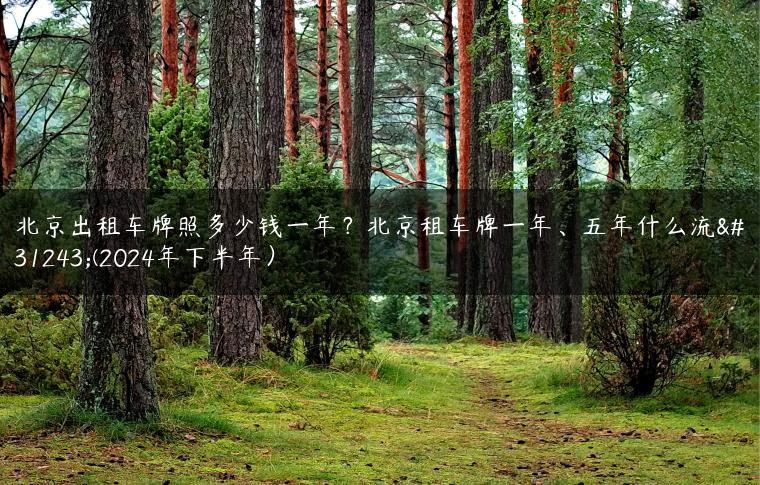 北京出租车牌照多少钱一年？北京租车牌一年、五年什么流程(2024年下半年）