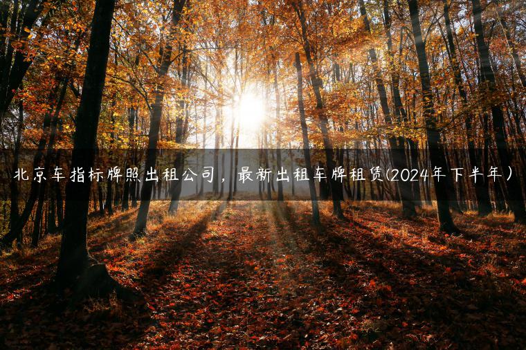北京车指标牌照出租公司，最新出租车牌租赁(2024年下半年）