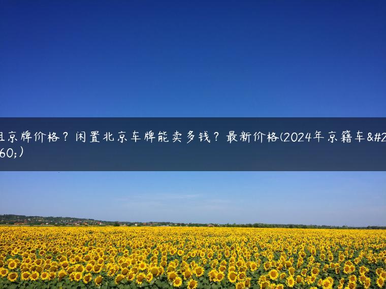 租京牌价格？闲置北京车牌能卖多钱？最新价格(2024年京籍车牌）