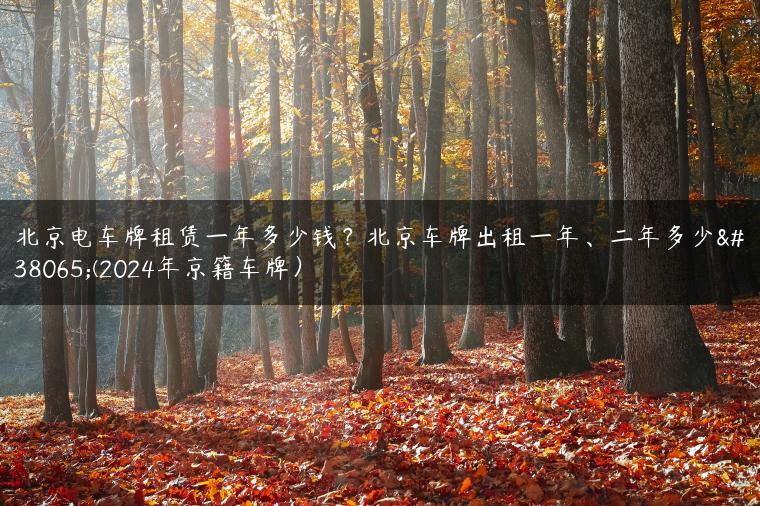北京电车牌租赁一年多少钱？北京车牌出租一年、二年多少钱(2024年京籍车牌）