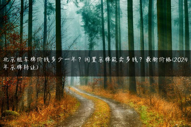 北京租车牌价钱多少一年？闲置京牌能卖多钱？最新价格(2024年京牌转让)
