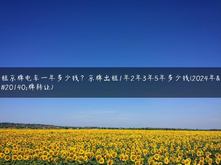 租京牌电车一年多少钱？京牌出租1年2年3年5年多少钱(2024年京牌转让)