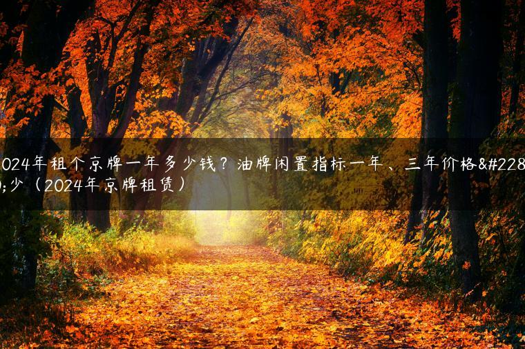 2024年租个京牌一年多少钱？油牌闲置指标一年、三年价格多少（2024年京牌租赁）