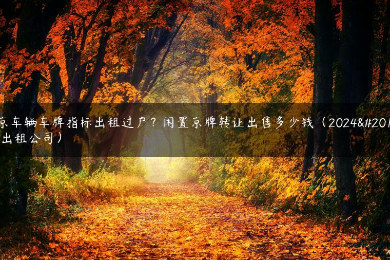 北京车辆车牌指标出租过户？闲置京牌转让出售多少钱（2024京牌出租公司）