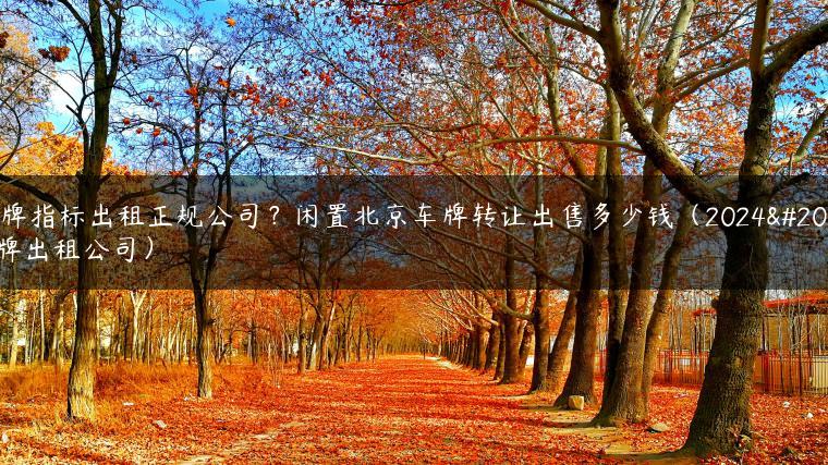 京牌指标出租正规公司？闲置北京车牌转让出售多少钱（2024京牌出租公司）