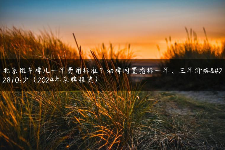 北京租车牌儿一年费用标准？油牌闲置指标一年、三年价格多少（2024年京牌租赁）-金牌车友