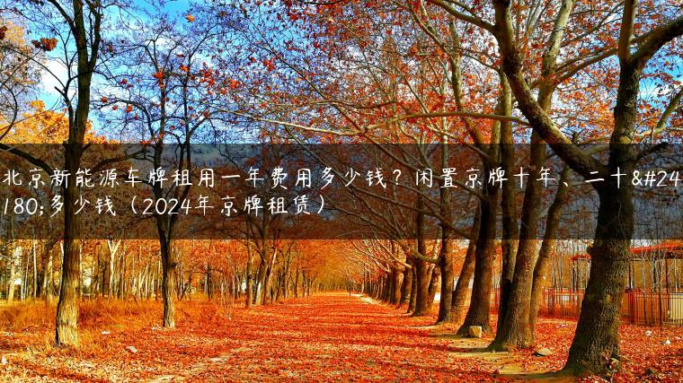 北京新能源车牌租用一年费用多少钱？闲置京牌十年、二十年多少钱（2024年京牌租赁）