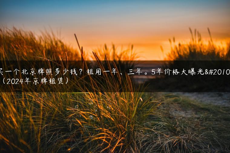 买一个北京牌照多少钱？租用一年、三年。5年价格大曝光了（2024年京牌租赁）
